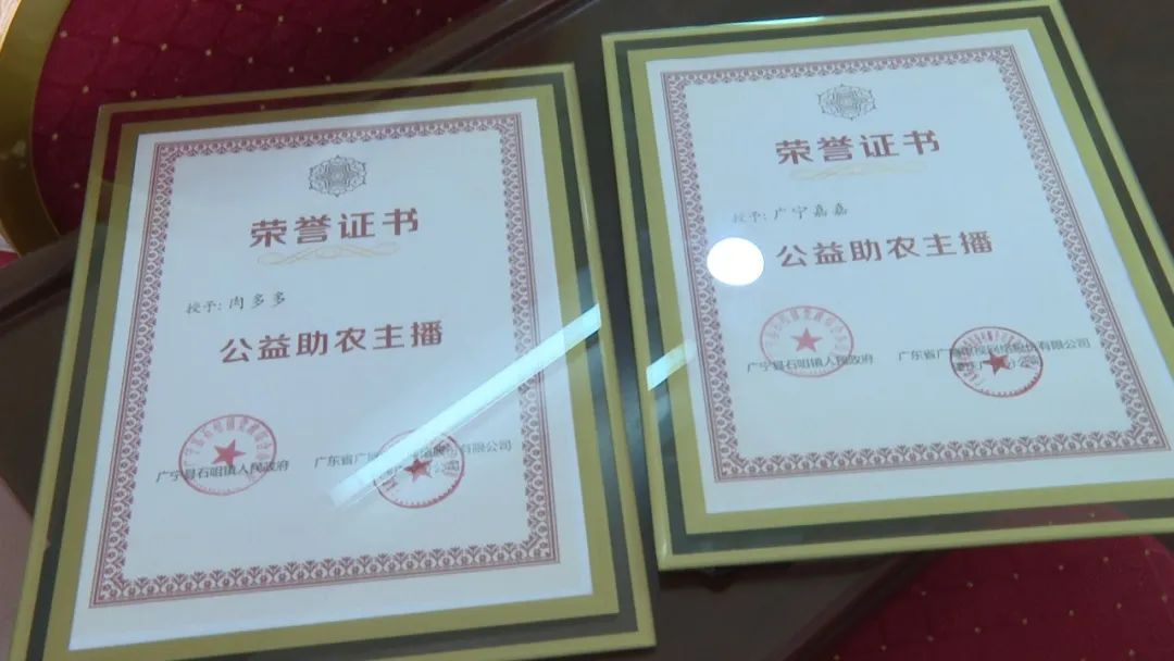 廣東廣電網(wǎng)絡(luò)：智慧廣電網(wǎng)絡(luò)平臺，開啟廣寧農(nóng)產(chǎn)品銷售新格局