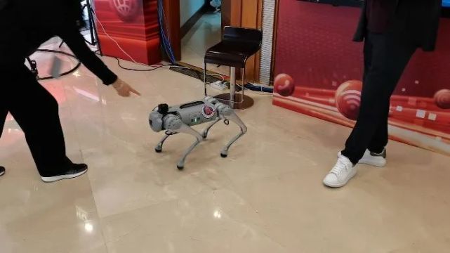 聚焦二十大，各廣電推出了哪些融媒體作品？